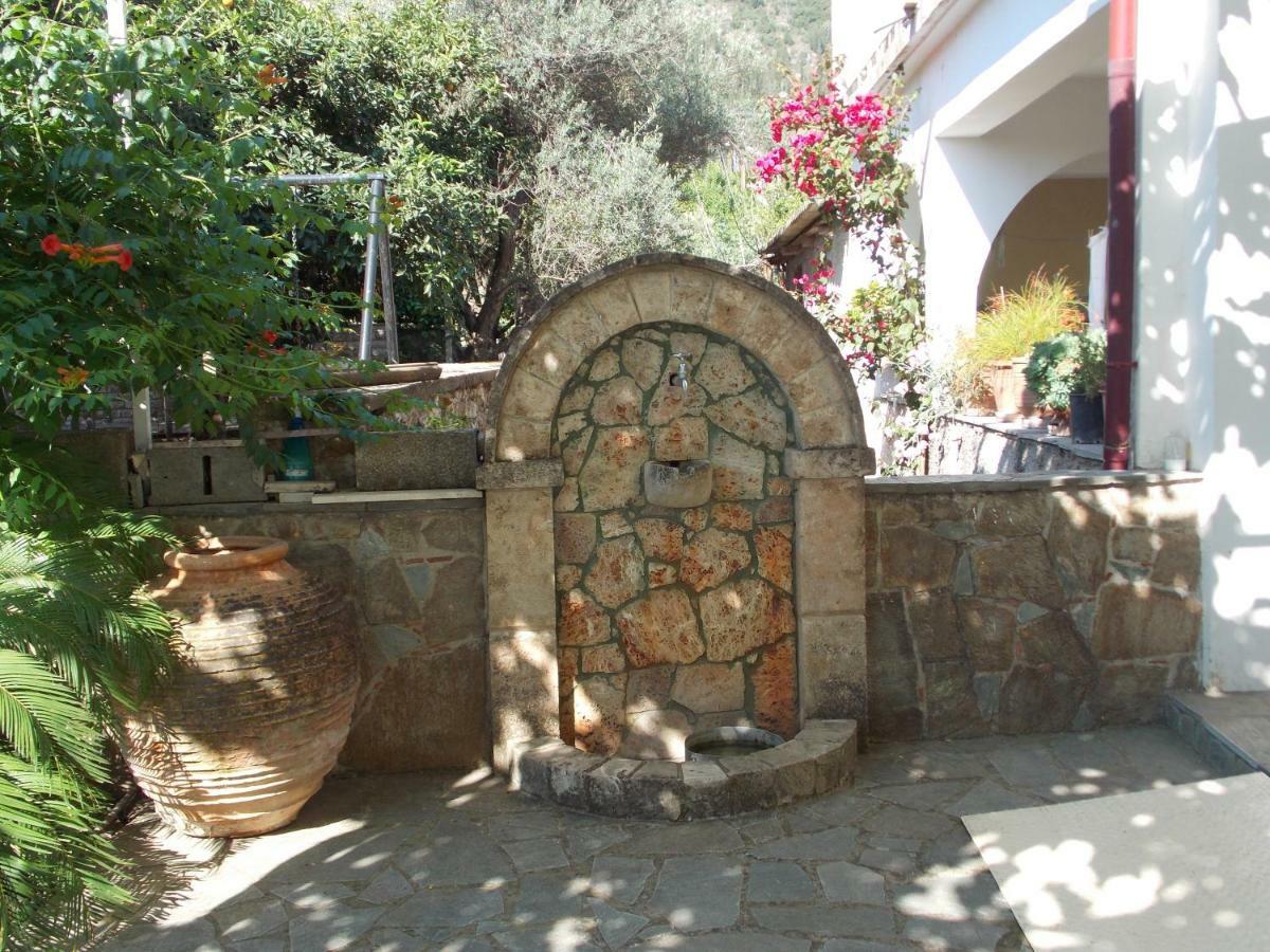 Art Flowers And Culture Mystras Exterior photo